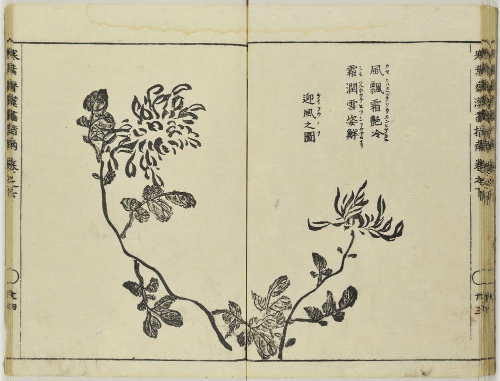 图片[25]-illustrated book; print BM-1979-0305-0.137.2-China Archive